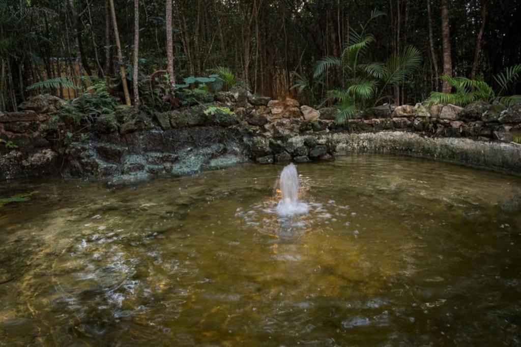 Hermosa Villa Con Espacios De Naturaleza Y Yoga Puerto Morelos Dış mekan fotoğraf