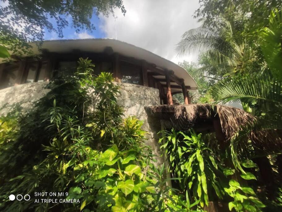 Hermosa Villa Con Espacios De Naturaleza Y Yoga Puerto Morelos Dış mekan fotoğraf