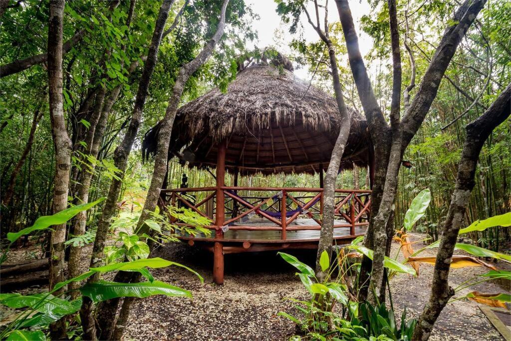 Hermosa Villa Con Espacios De Naturaleza Y Yoga Puerto Morelos Dış mekan fotoğraf