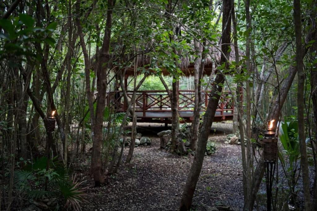 Hermosa Villa Con Espacios De Naturaleza Y Yoga Puerto Morelos Dış mekan fotoğraf