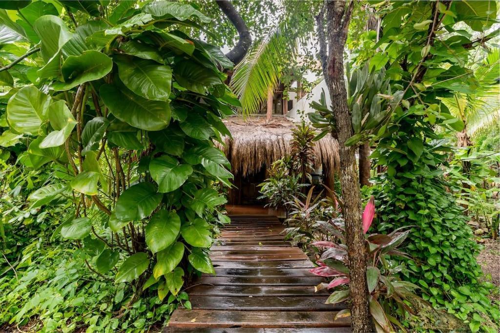 Hermosa Villa Con Espacios De Naturaleza Y Yoga Puerto Morelos Dış mekan fotoğraf